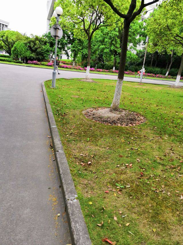 广州市麓湖公园