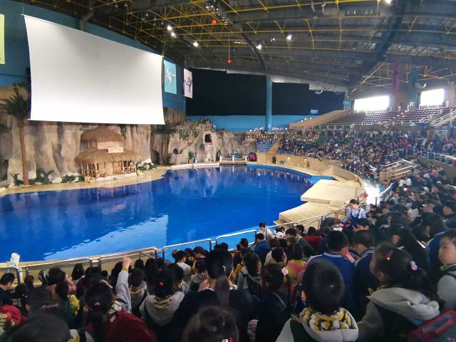 "尤其是熊猫馆和海洋馆，孩子们在这两个玩得不亦乐乎，特别是海洋馆的海洋剧场，白鲸，海狮，海豚这三..._北京动物园"的评论图片