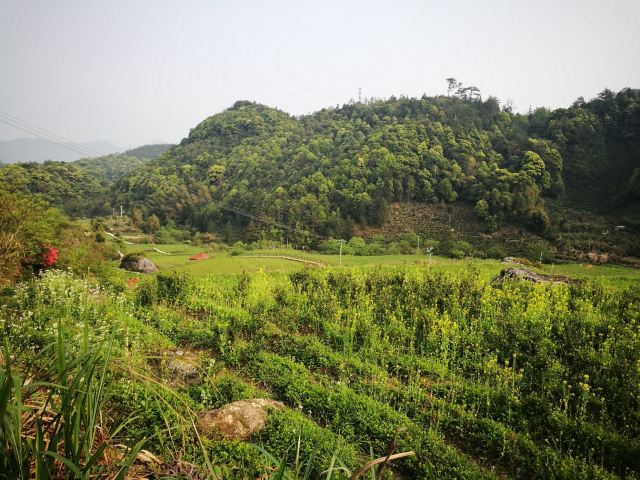 中国富硒第一村