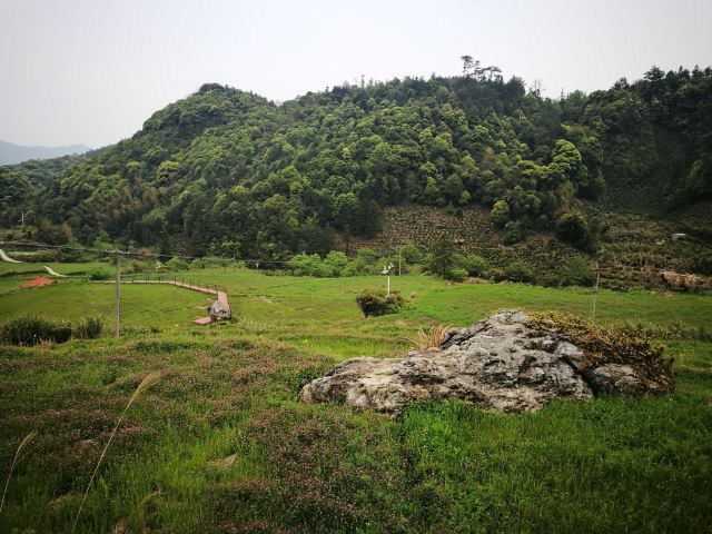 中国富硒第一村