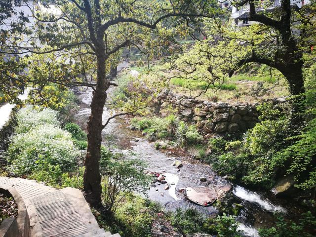 中国富硒第一村