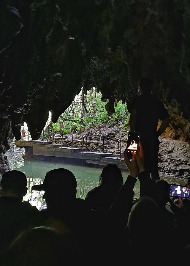 怀托摩萤火虫洞