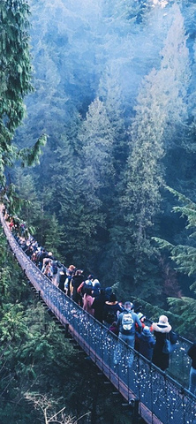 "如果你想与家人开启一场冒险之旅，那就去BC省卡佩兰奴吊桥公园内的&amp;尽情感受刺激与心跳吧_卡皮拉诺吊桥公园"的评论图片
