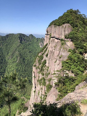 "游玩下来给我的总体感觉有以下几点：景色非常美，山高险峻，景区管理规范，五一期间限流而没有人满为..._神仙居"的评论图片