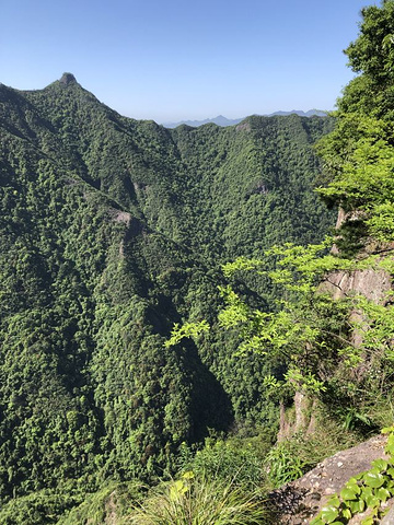 "游玩下来给我的总体感觉有以下几点：景色非常美，山高险峻，景区管理规范，五一期间限流而没有人满为..._神仙居"的评论图片