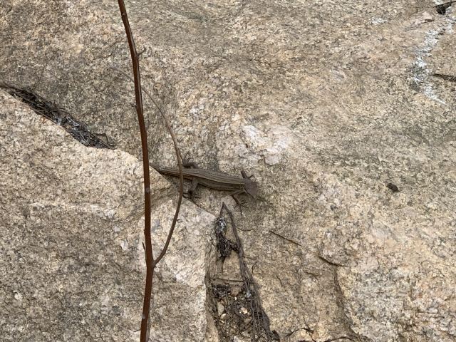 桐柏山淮源风景区