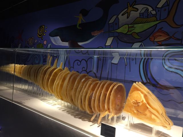 生命奥秘博物馆