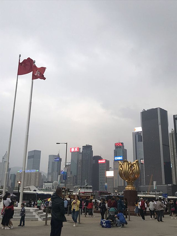 "金紫荆广场中矗立着金紫荆花的雕塑，旁边还有国旗和香港区旗，回归纪念碑，每天还有升降旗仪式_金紫荆广场"的评论图片