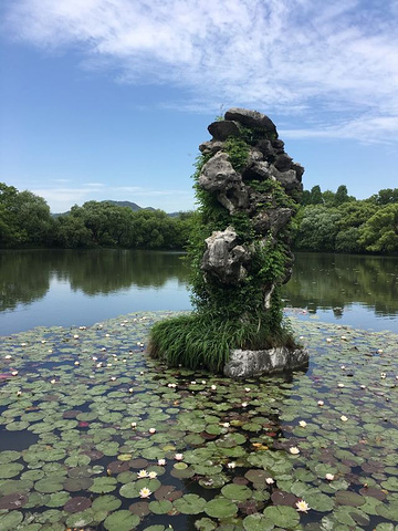 "心情好极了！正赶上天气好，空气质量不错，从任何一个角度看西湖，都清明得像滤过一样_三潭印月"的评论图片