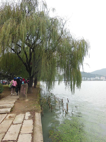 "南北湖是钱塘江口的一个潟湖，所以它也是中国（唯一）的山海湖全景度假地。【游览线路】&#x0A_南北湖"的评论图片