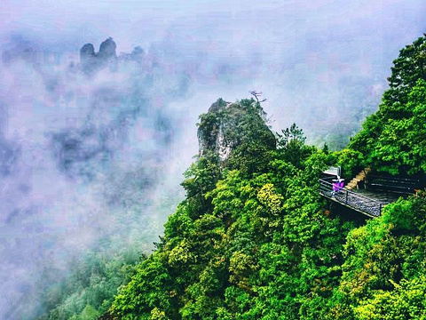 神仙居旅游景点攻略图