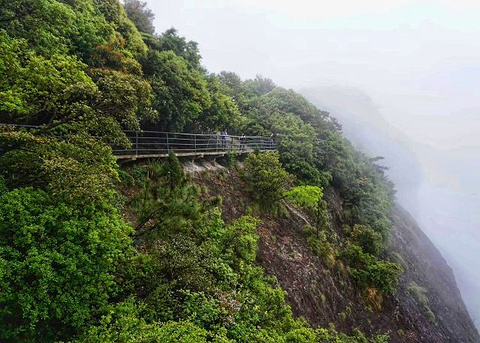 神仙居旅游景点攻略图