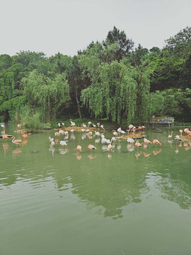 宁波野生动物园旅游景点攻略图