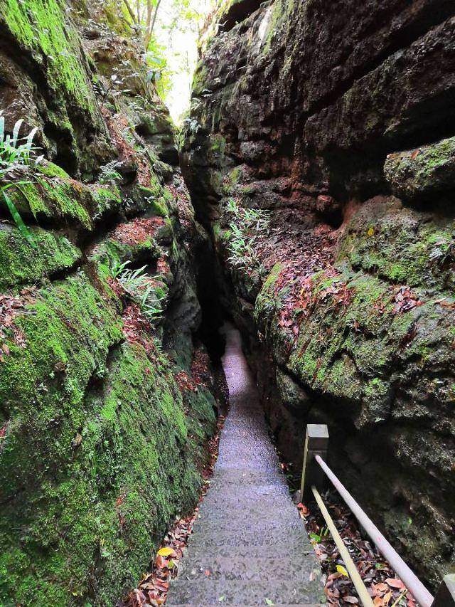 猫儿山国家森林公园