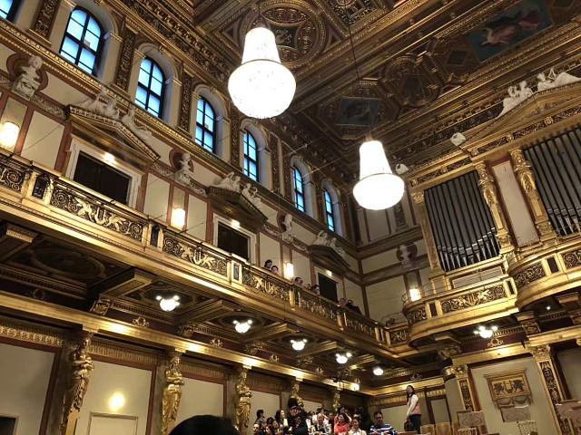 "进入大厅后就觉得惊艳，震撼……上流社会的高雅文化也来感受一下_维也纳音乐厅"的评论图片
