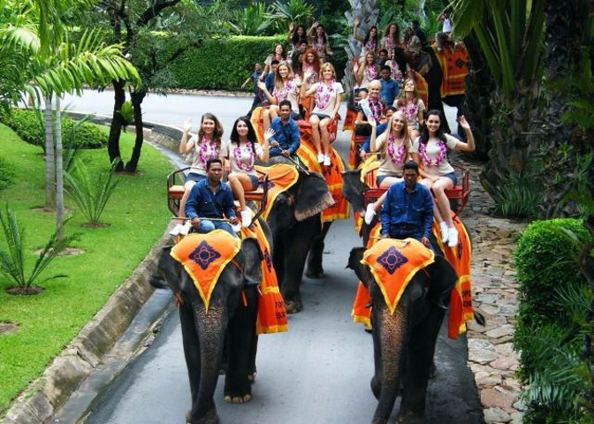 "花园很漂亮。但是，大象表演还不错，但人们以同样的方式来对待它们。也有一些文化表演，但这只有泰语和中文_东芭乐园"的评论图片