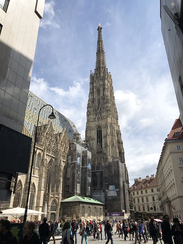 "走到里面是免费的，里面非常的空旷，穹顶非常的高，感叹建筑的魔力_斯蒂芬大教堂"的评论图片