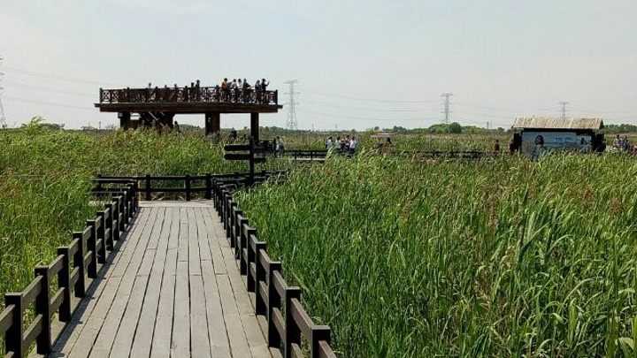 "_杭州湾国家湿地公园"的评论图片
