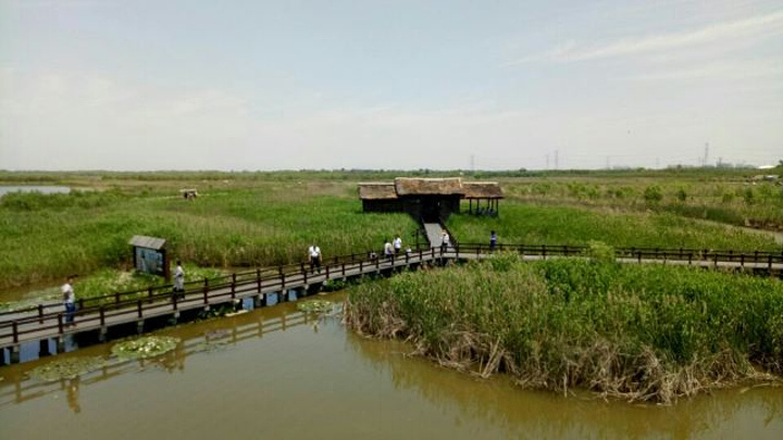 "_杭州湾国家湿地公园"的评论图片