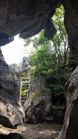 "，观赏性不错！这个季节桂花岛上一是猴子多，二是喀斯特地貌奇特。喀斯特地貌被称为&amp_桂花岛（猴岛）"的评论图片