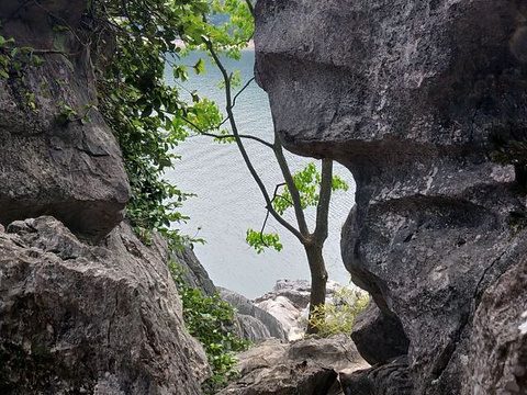 桂花岛（猴岛）旅游景点图片