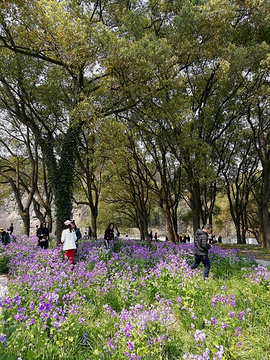 上海辰山植物园旅游景点攻略图