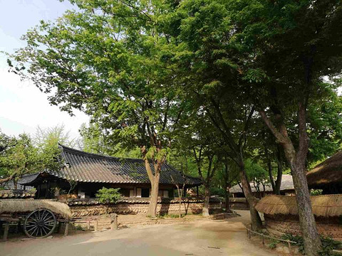 韩国民俗村旅游景点图片