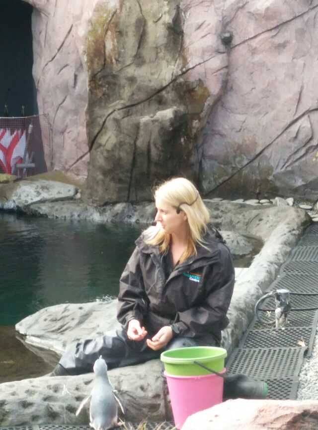 基督城国际南极中心