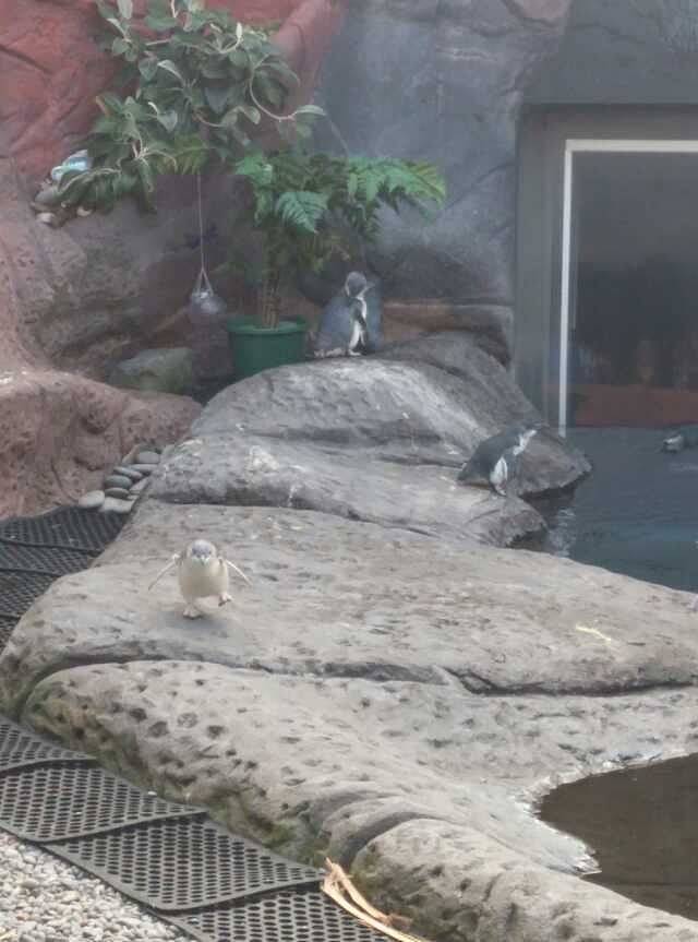 基督城国际南极中心