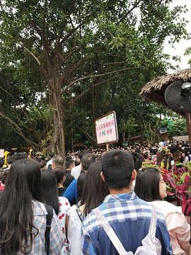 长隆野生动物世界旅游景点攻略图