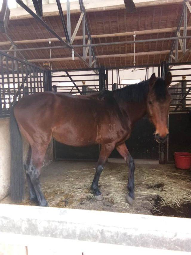 平湖九龙山旅游度假区