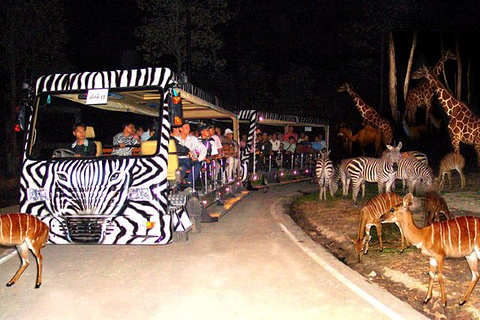 清迈夜间动物园旅游景点攻略图