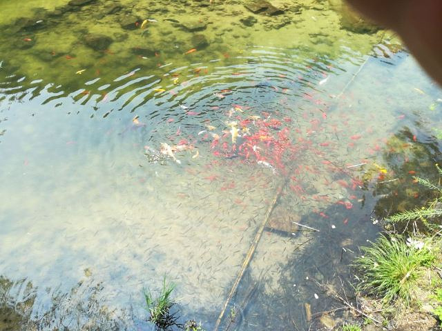 "昆俞山无染寺风景区和九龙池景区非常好，每年都要去几次，山清水秀的地方，特别适合大人小孩一起玩，..._昆嵛山无染寺"的评论图片