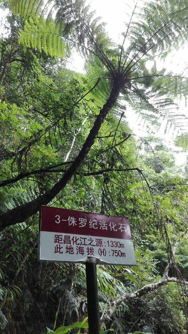 五指山大峡谷漂流