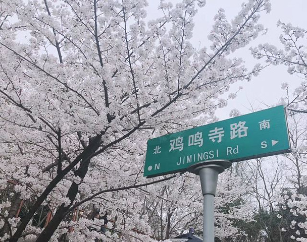 "据说鸡鸣寺是求姻缘最准的寺院。药师佛塔为鸡鸣寺标志性建筑，七层八面结构，内供药师佛像_鸡鸣寺"的评论图片