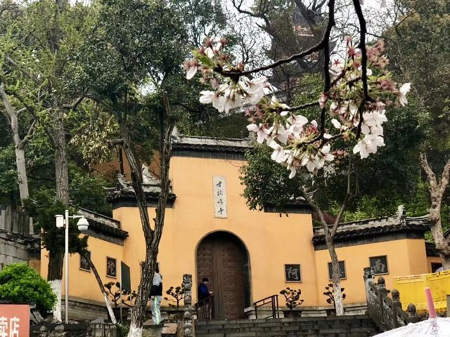 "据说鸡鸣寺是求姻缘最准的寺院。药师佛塔为鸡鸣寺标志性建筑，七层八面结构，内供药师佛像_鸡鸣寺"的评论图片