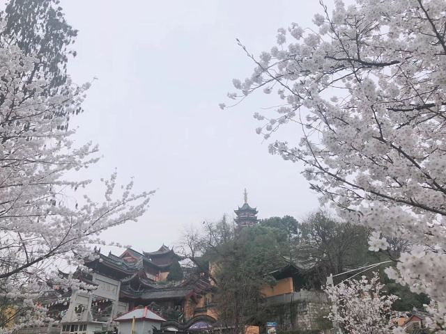 "据说鸡鸣寺是求姻缘最准的寺院。药师佛塔为鸡鸣寺标志性建筑，七层八面结构，内供药师佛像_鸡鸣寺"的评论图片