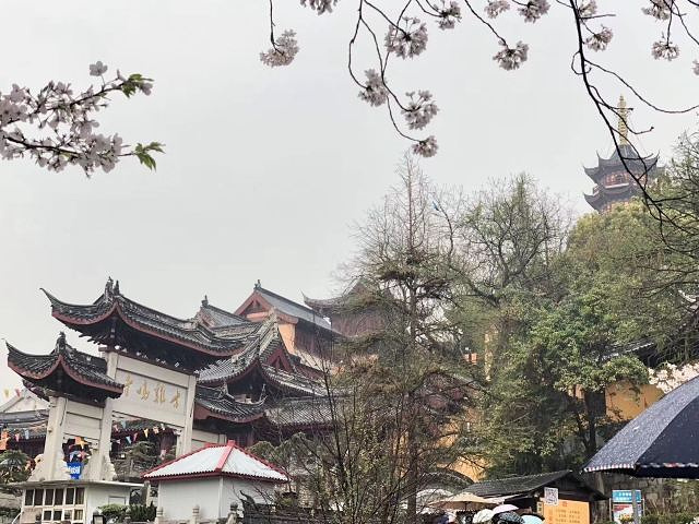 "据说鸡鸣寺是求姻缘最准的寺院。药师佛塔为鸡鸣寺标志性建筑，七层八面结构，内供药师佛像_鸡鸣寺"的评论图片