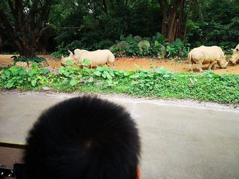 长隆野生动物世界旅游景点攻略图