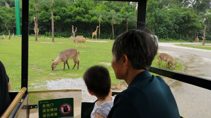 "不错，游览了全貌。然后座缆车，也很棒的体验，脚下还是透明的。值得体验_长隆野生动物世界"的评论图片