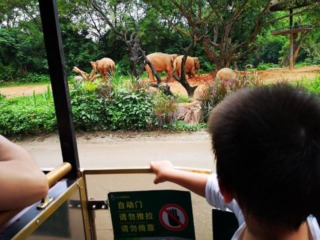 "不错，游览了全貌。然后座缆车，也很棒的体验，脚下还是透明的。值得体验_长隆野生动物世界"的评论图片