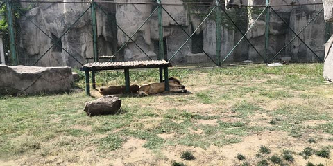 郑州市动物园旅游景点攻略图