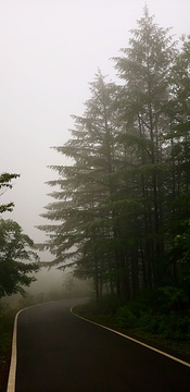 大连天门山国家森林公园旅游景点攻略图