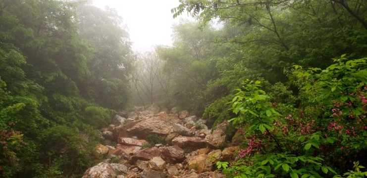大连天门山国家森林公园旅游景点图片