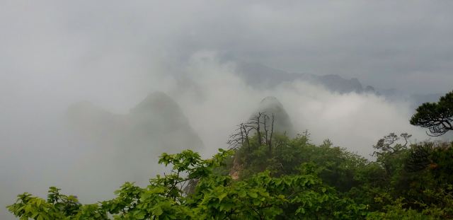 大连天门山国家森林公园