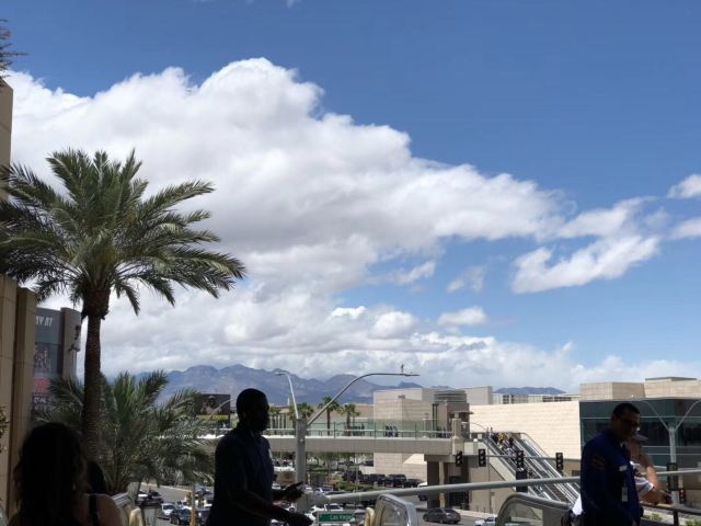 拉斯维加斯小巴黎酒店