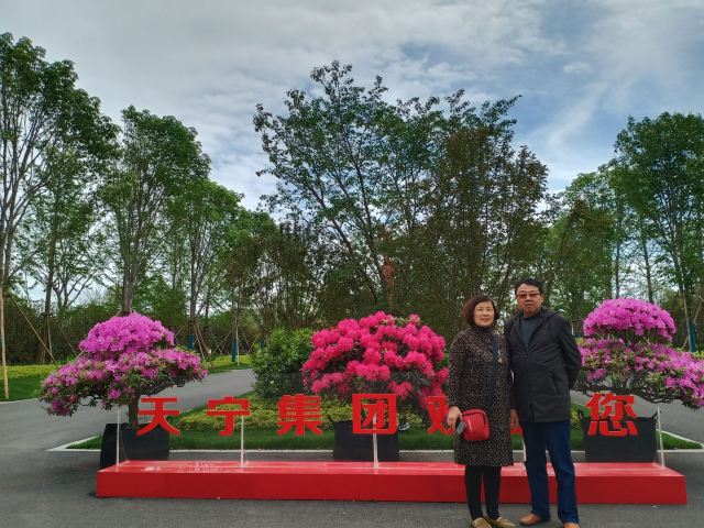 中国杜鹃花博览园