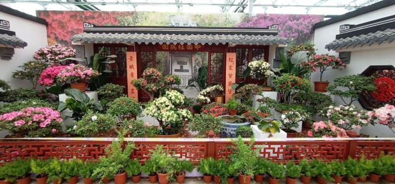 中国杜鹃花博览园旅游景点图片
