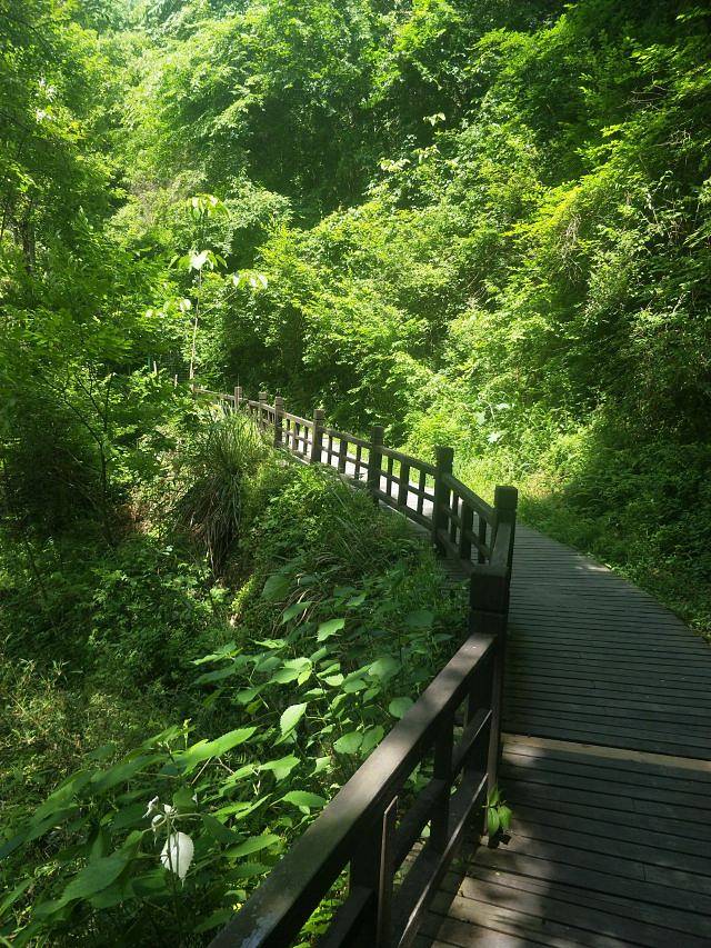 西九华山风景区