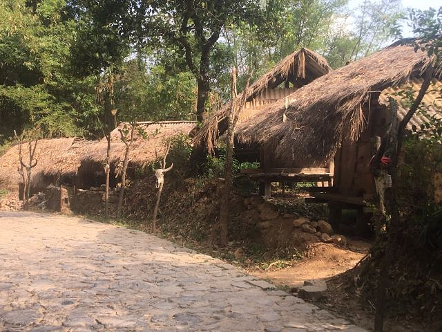 "_翁丁原始部落文化旅游区"的评论图片